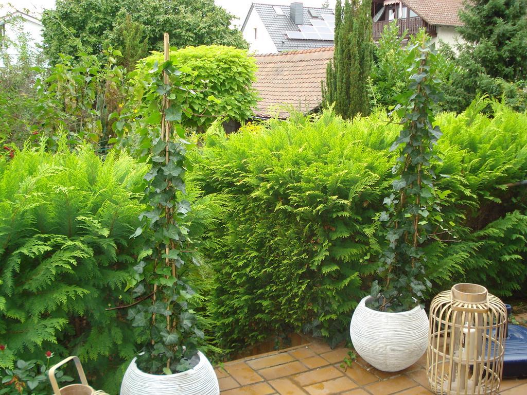 Ferienwohnung Sartorius 벤스하임 객실 사진